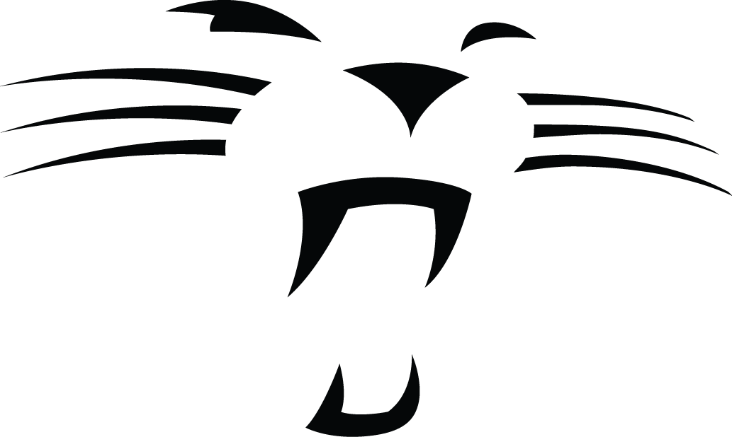 Carolina Panthers 2012-Pres Alternate Logo t shirt iron on transfers version 2
